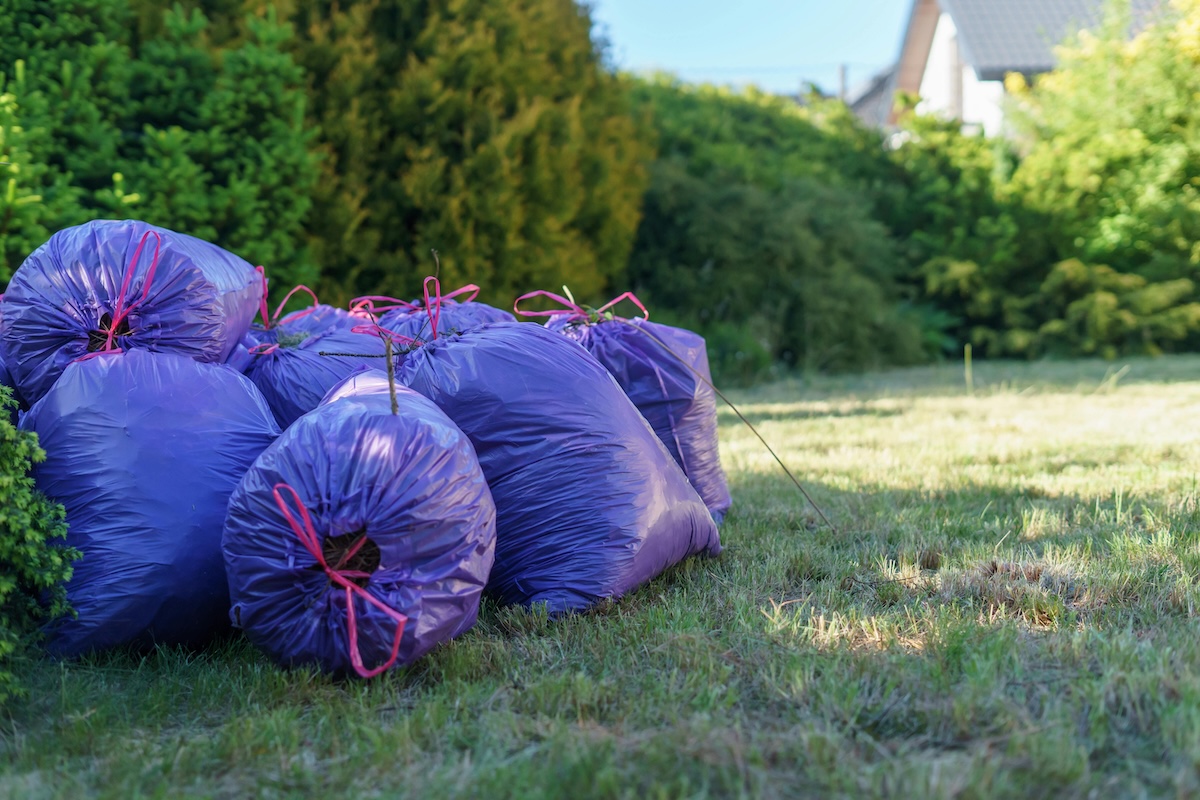 What Counts as Yard Waste (and What Doesn’t)